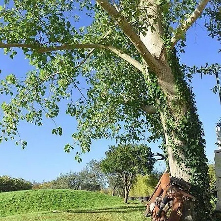 Βίλα La Casa Di Campagna Locorotondo